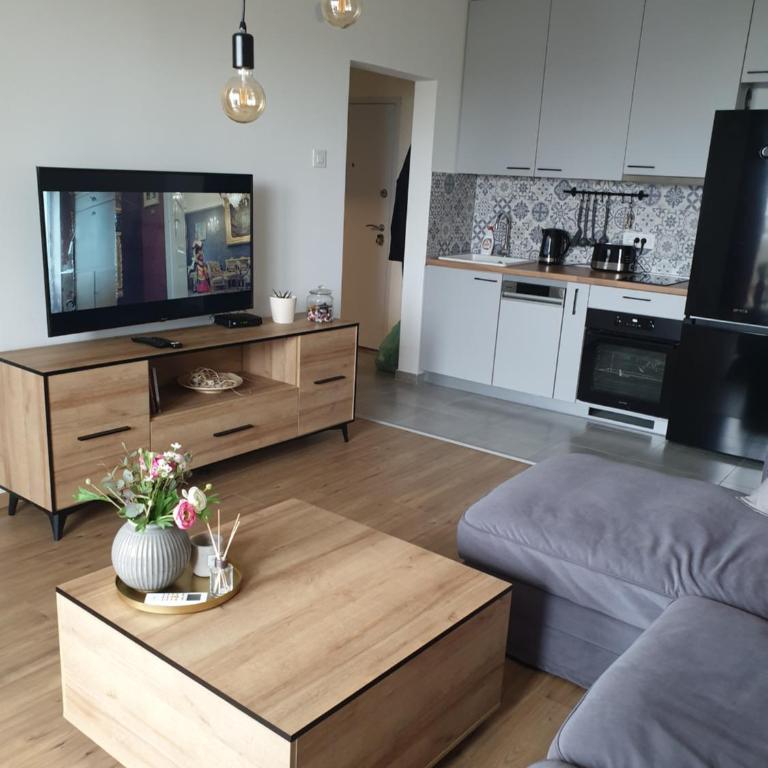 TiTo LuX - Apartman sa 1 Spavaćom Sobom - 1