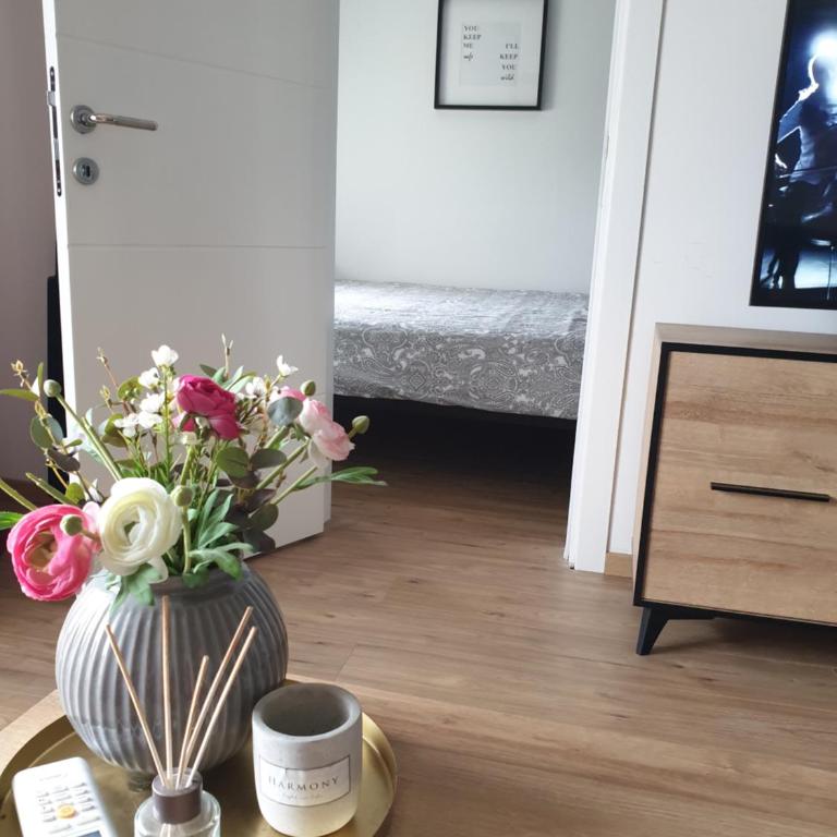 TiTo LuX - Apartman sa 1 Spavaćom Sobom - 4