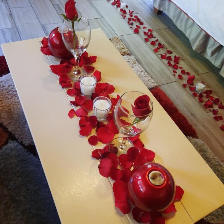 Villas De Los Pinos - Villa Estándar - 62