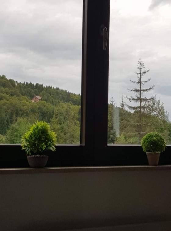 Vila Irina - Apartman Miloš - One-Bedroom Apartment - 15