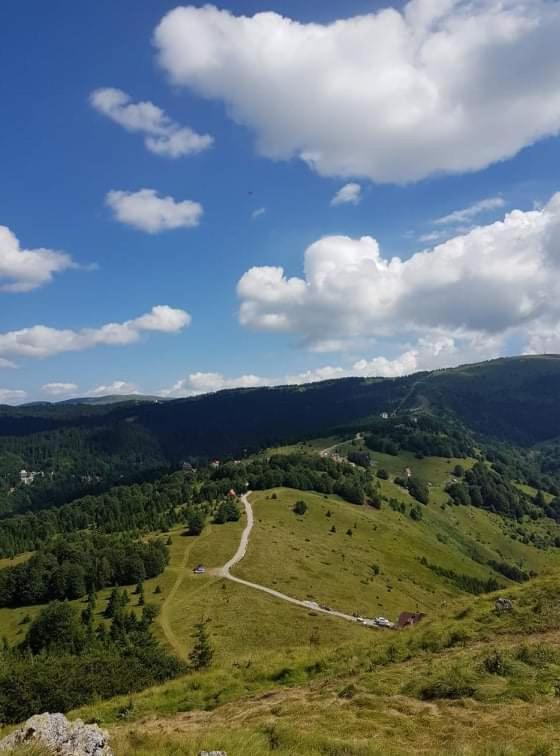 Vila Irina - Apartman Miloš - One-Bedroom Apartment - 25