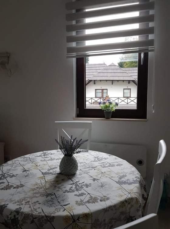 Vila Irina - Apartman Miloš - One-Bedroom Apartment - 10