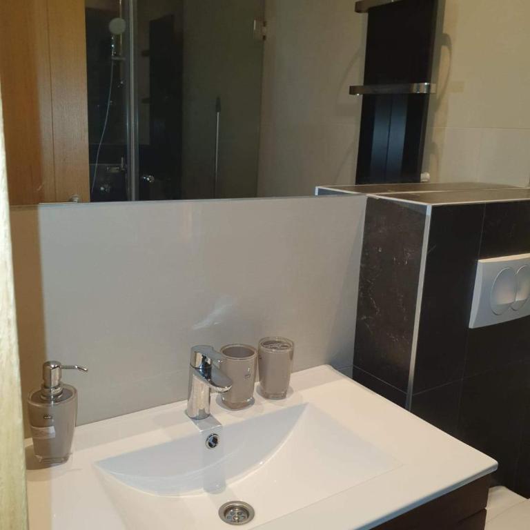 Vila Irina - Apartman Miloš - One-Bedroom Apartment - 18