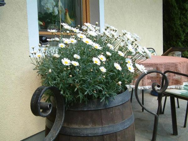 Pension Liesertalerhof - Doppelzimmer - 42