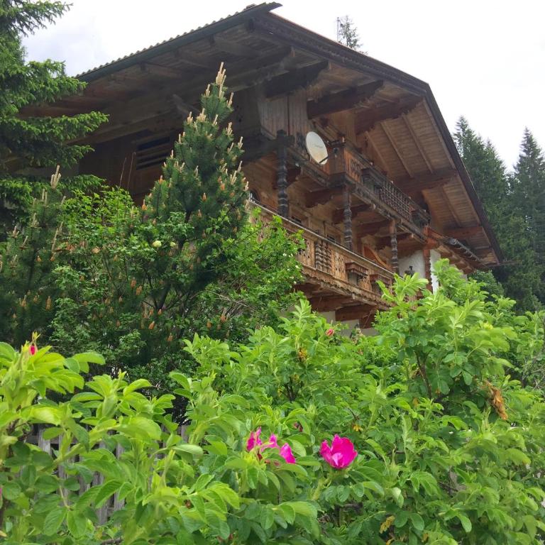 Appartements Fürstalm Alpendorf - Apartamento con terraza - 1