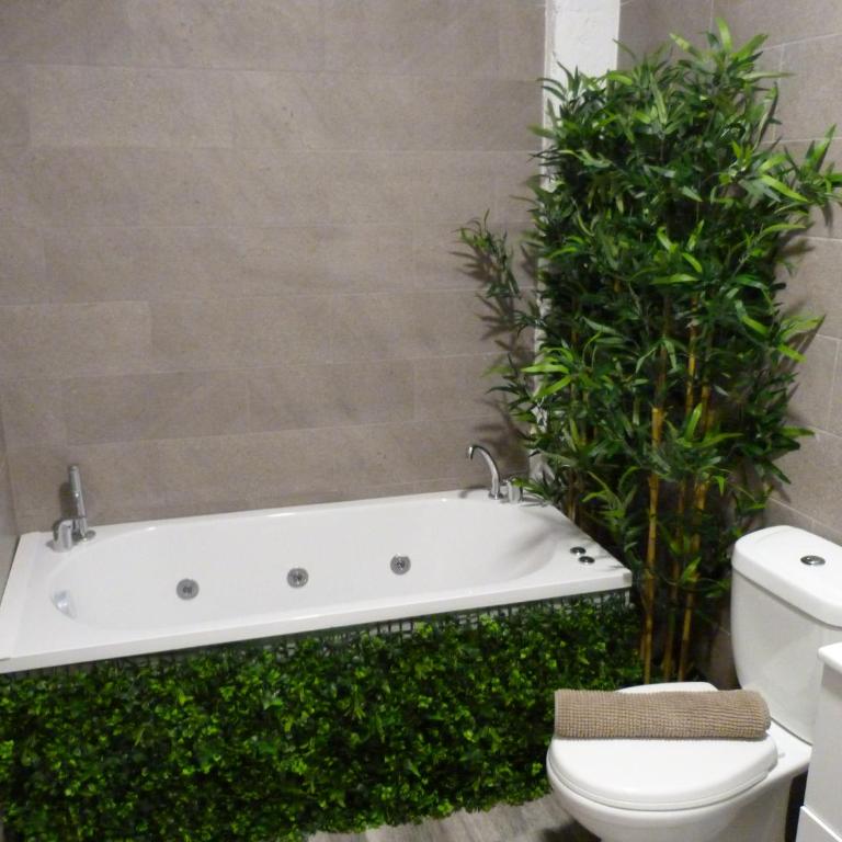 Intimo y Acogedor "algunos" con Bañera Hidromasaje - Studio with Spa Bath - 1