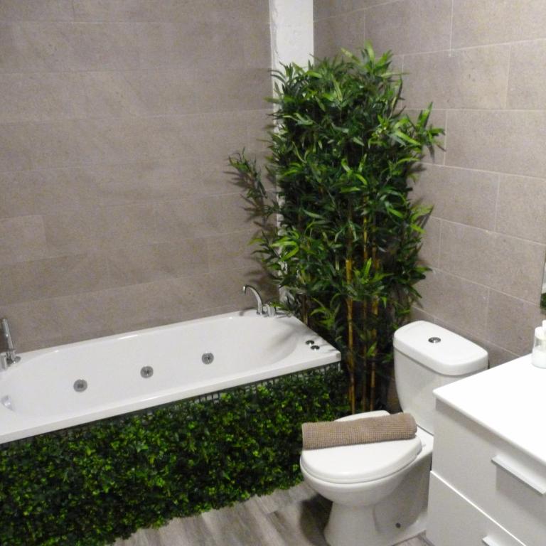 Intimo y Acogedor "algunos" con Bañera Hidromasaje - Studio with Spa Bath - 14
