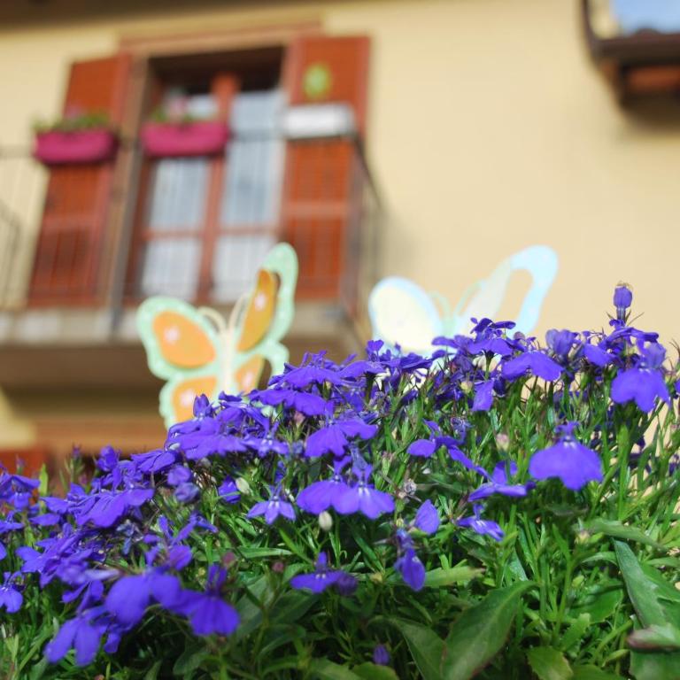 L'Olivo Gina, Minnie's Cottage - Casa de 2 dormitorios - 26