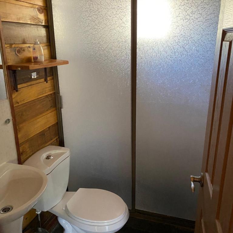 Cabañas San Fabian - Two-Bedroom House - 6