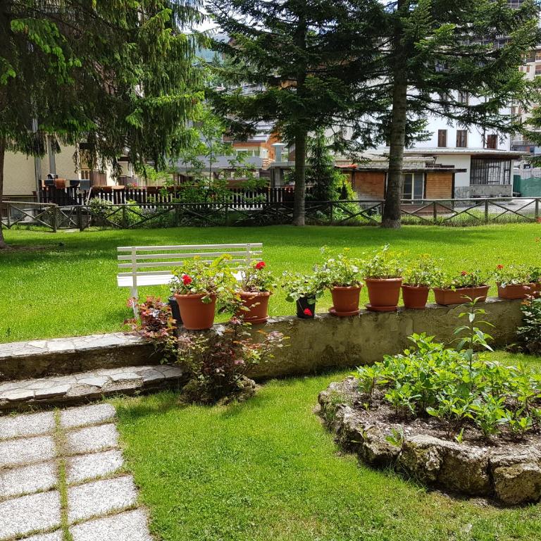 Samuray - Monolocale con Vista Giardino - 1