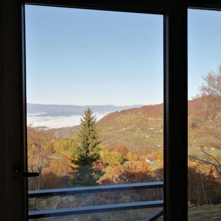 Milmari P39 Kopaonik - Apartment with Mountain View - 12