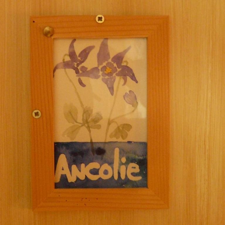La Ptite Auberge - Chambre Lits Jumeaux - Ancolie - 1