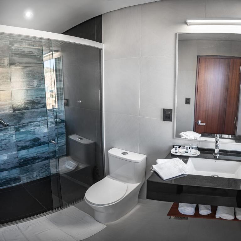 Mitru Express Hotel - Suite Superior - 8