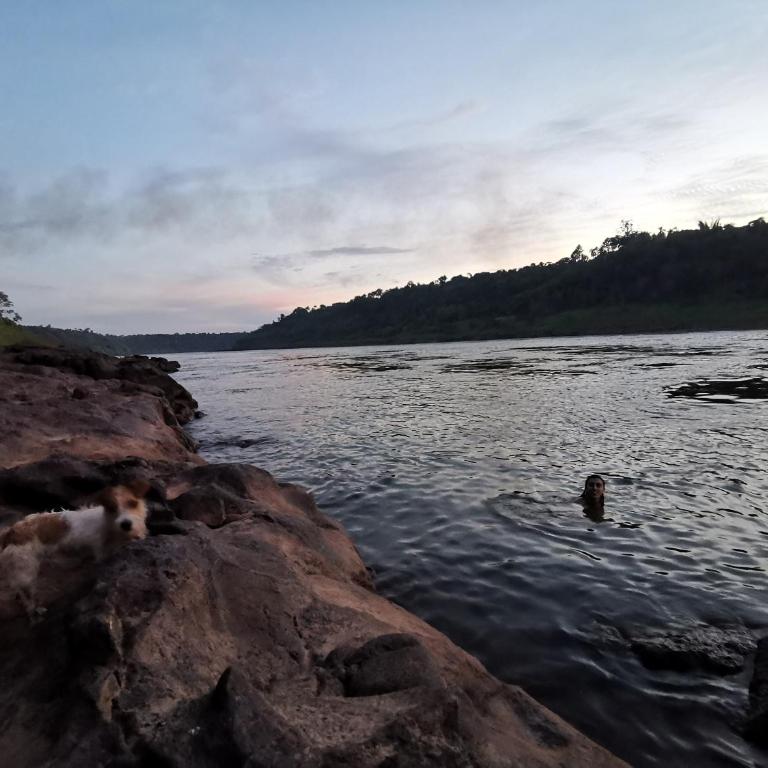 Nativa Iguazu - Double Room - 1