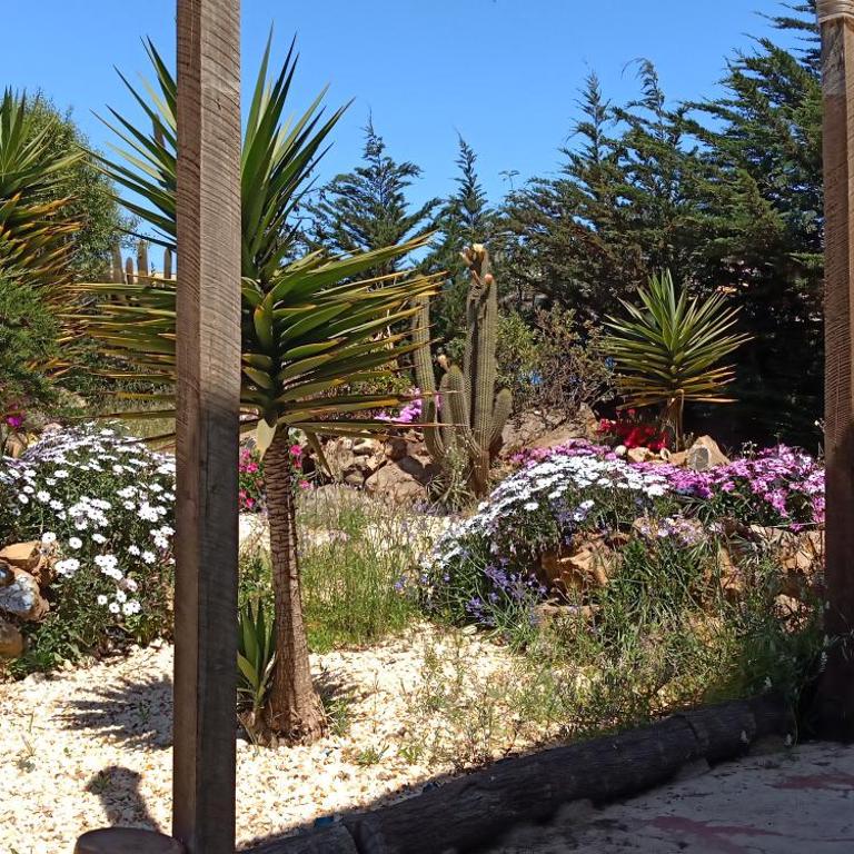 Casa en la playa,la Ballena,los Quinquelles - One-Bedroom House - 26