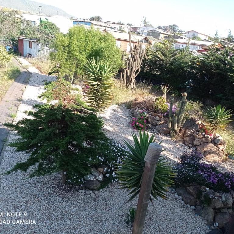 Casa en la playa,la Ballena,los Quinquelles - One-Bedroom House - 24