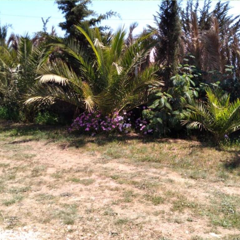 Casa en la playa,la Ballena,los Quinquelles - One-Bedroom House - 23