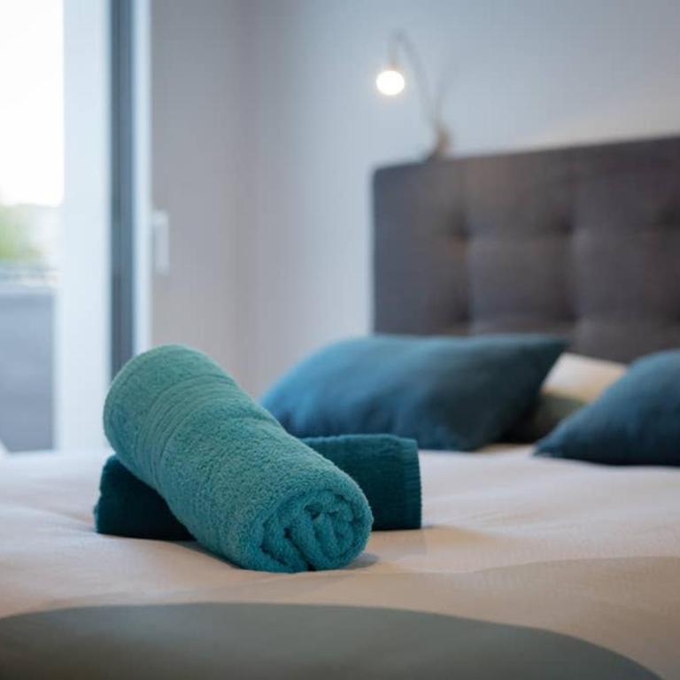 Le Golfe du Morbihan et ses sentiers côtiers - Appartamento con 1 Camera da Letto - 23