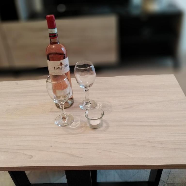 Apartman TiA Vrnjacka Banja - Apartman sa Terasom - 11