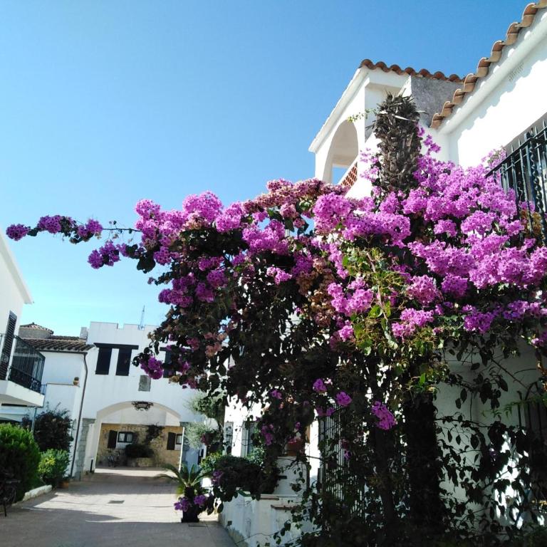 Port Ducal - Apartamento - 46