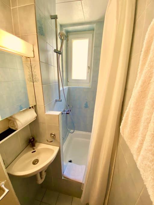 Your bright charming cocoon between lake and city - Apartment - 21
