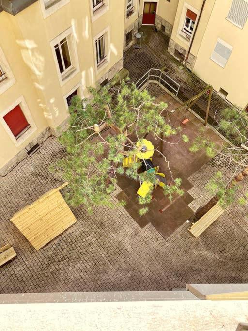 Your bright charming cocoon between lake and city - Apartment - 30