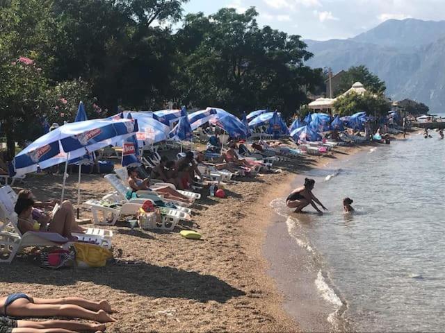 Villa Nikola - Villa - 56