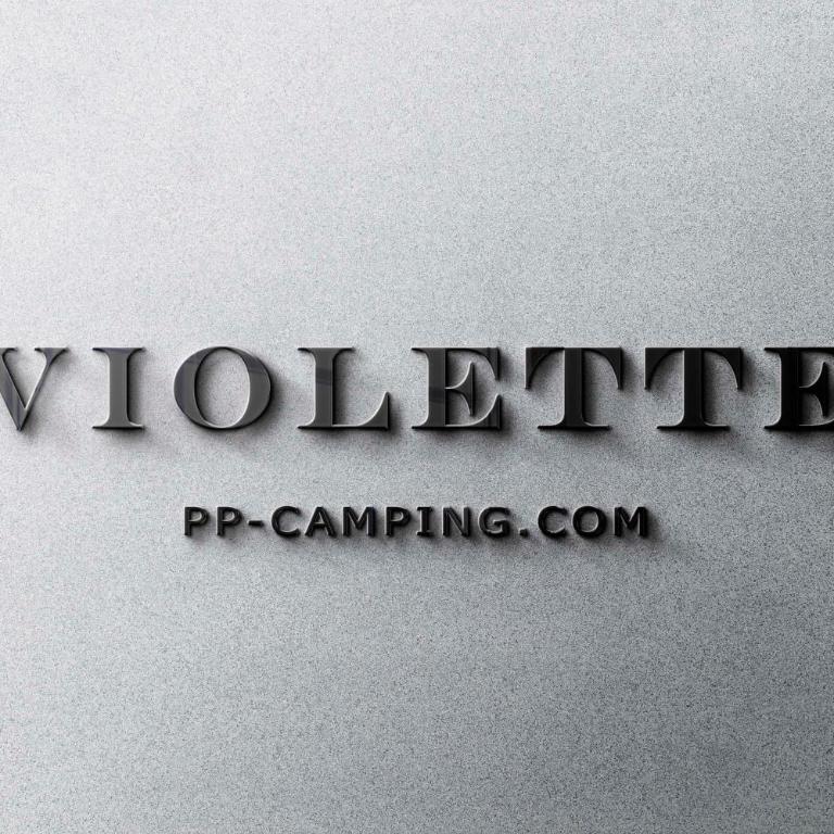 PP-Camping Wallersee - Mobilheim - 1