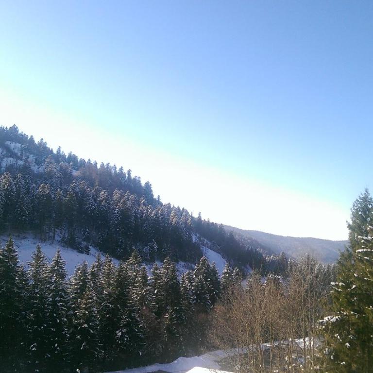 Studio sous les pistes avec vue sur la vallée - Appartement 1 Chambre - 15