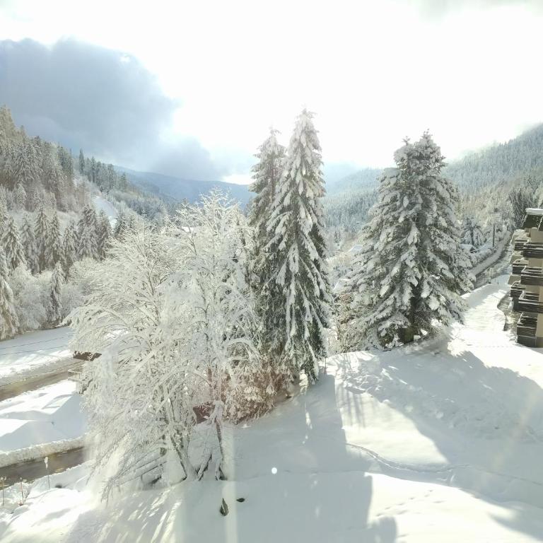 Studio sous les pistes avec vue sur la vallée - Appartement 1 Chambre - 20