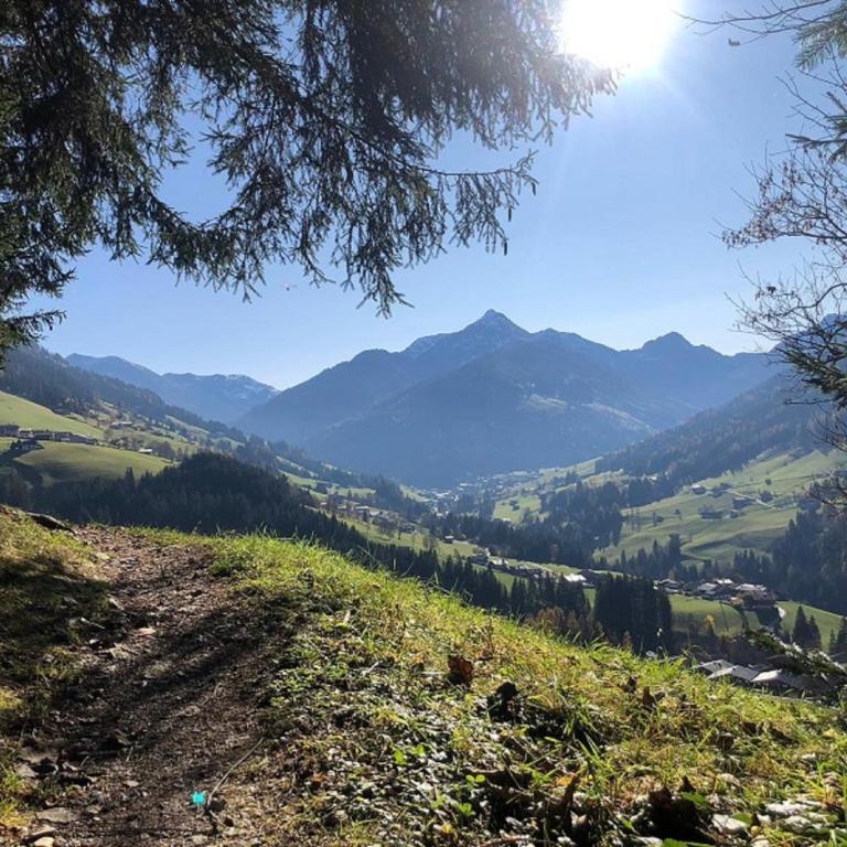 Haus Raimund " KLEIN aber FEIN " - Apartment mit Blick auf die Berge - 17