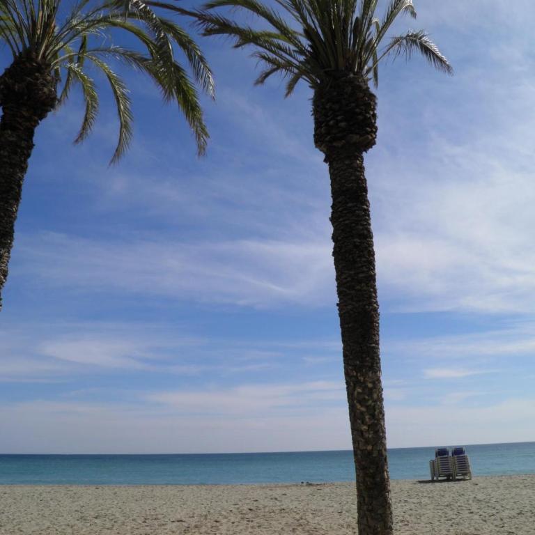 Suitur apartamento frente a la playa de calafell - Apartamento con terraza - 35