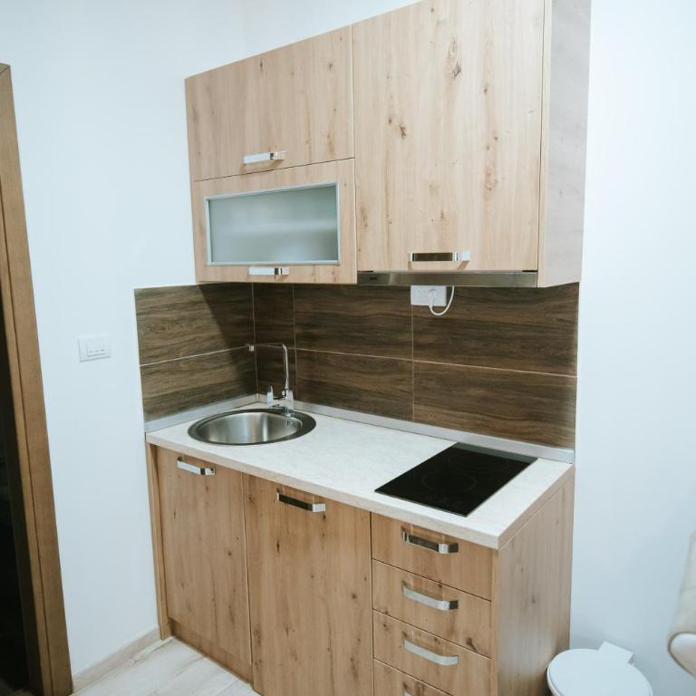 Apartman Kostic Kraljev Konak - One-Bedroom Apartment - 15