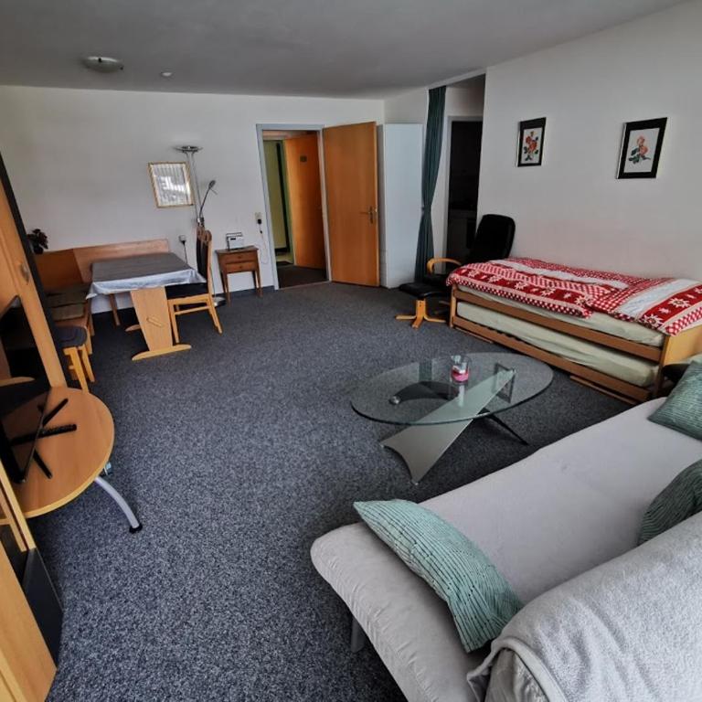 Apartments Haus Quelle - Appartamento con 1 Camera da Letto - 36