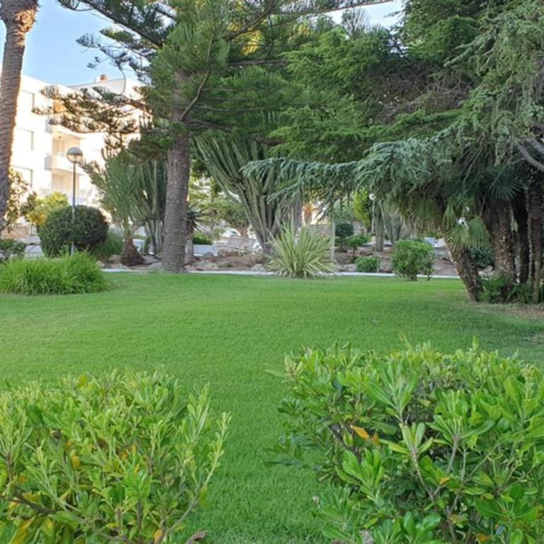 Sea view holiday apartment near Alicante - Apartamento de 3 dormitorios - 35