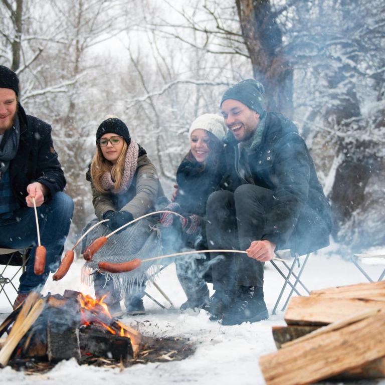 Forest Chalet, all famous ski areas around us, 15 min to city of salzburg, mountainview, panorama sauna, bath whirlpool, fire pit in garden up to 10 p - Haus mit 4 Schlafzimmern - 83