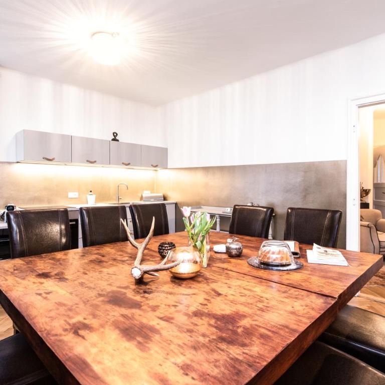 Family Wellhouse Green Garden direct in Salzburg, sunny big garden, up to 16 pax, bikes for free, BBQ, sunbeds, parking for free, 15 min sound of music - Villa - 8