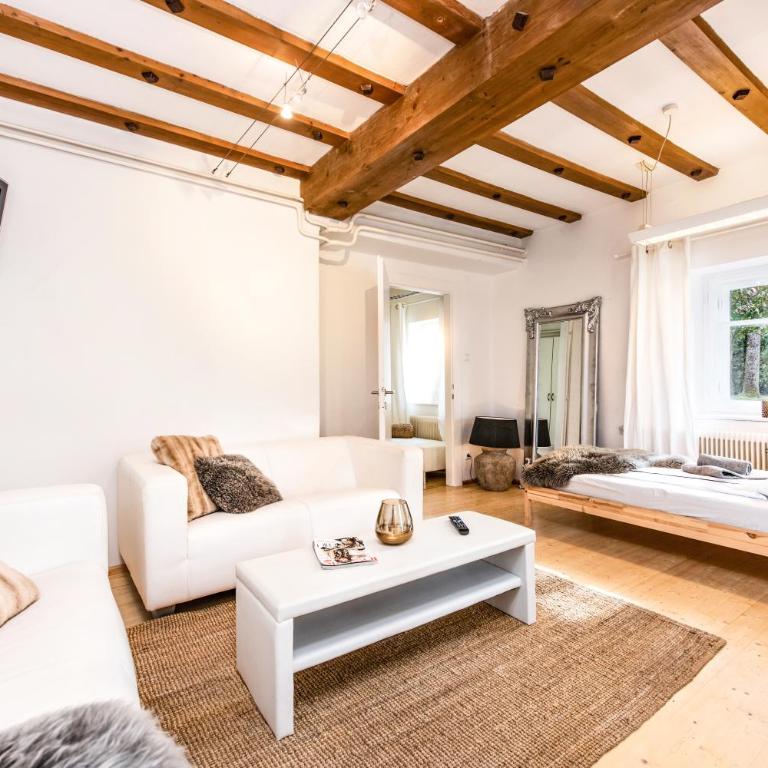Family Wellhouse Green Garden direct in Salzburg, sunny big garden, up to 16 pax, bikes for free, BBQ, sunbeds, parking for free, 15 min sound of music - Villa - 36