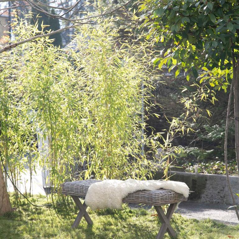 Family Wellhouse Green Garden direct in Salzburg, sunny big garden, up to 16 pax, bikes for free, BBQ, sunbeds, parking for free, 15 min sound of music - Villa - 43