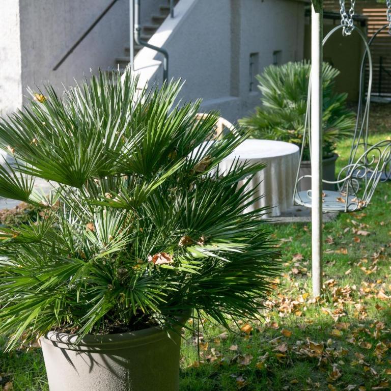 Family Wellhouse Green Garden direct in Salzburg, sunny big garden, up to 16 pax, bikes for free, BBQ, sunbeds, parking for free, 15 min sound of music - Villa - 44