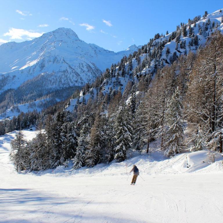 Appaloosa FABULOUS & LUXE chalet 12 pers - Chalet - 28