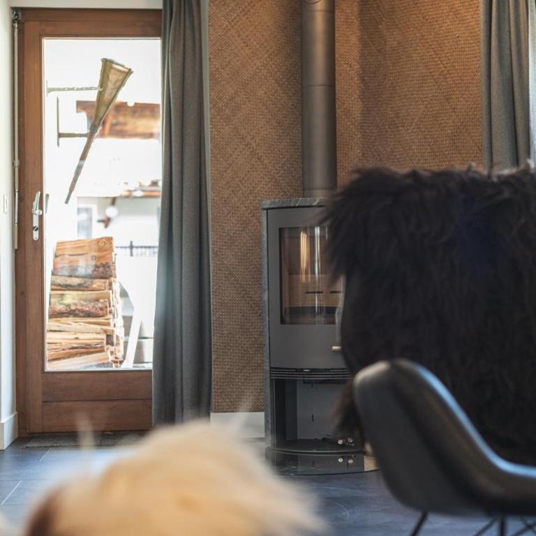 Central & Elegant Apartments,partially with Fireplace, by Zermatt Rental - Deluxe Apartment - 4