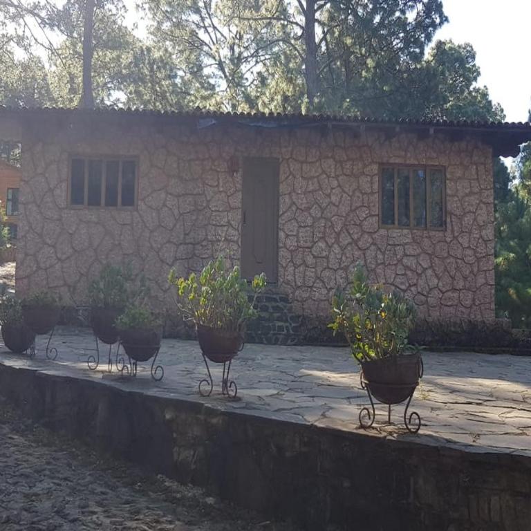 Cabañas RuizSeñor - Casa de campo (18 adultos) - 1