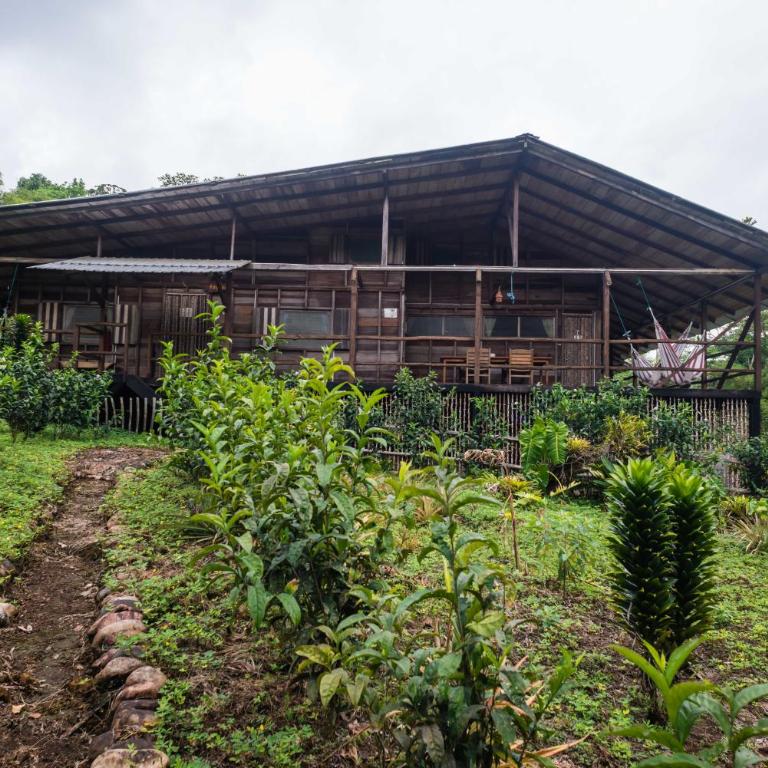 Hakuna Matata Amazon Lodge - Superior Double or Twin Room with Garden View - 1