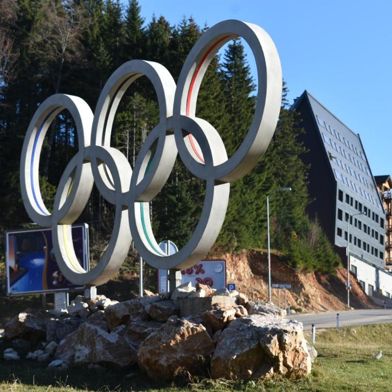 Winter Home Jahorina - One-Bedroom Apartment - 32