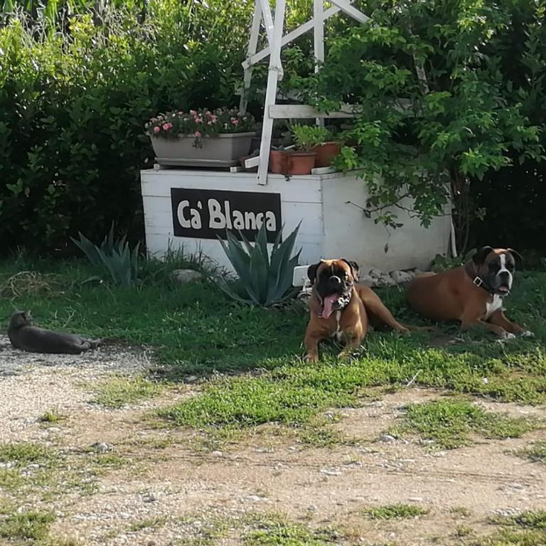 Ca' Blanca - Junior Suite Deluxe - 38