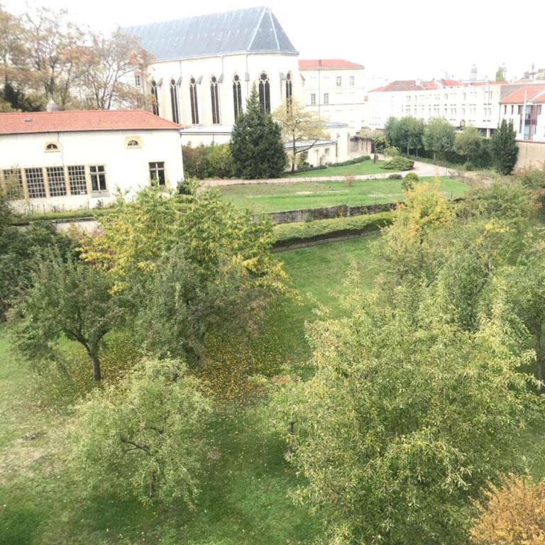 Confort - Nancy Centre - Chambre - Salle de sport - 45 m2 - Appartement 1 Chambre - 5