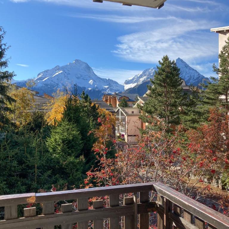 JANDRI 4 Appartement 6 personnes -38860 Les 2 Alpes - Pied des pistes - Apartment mit 1 Schlafzimmer - 5