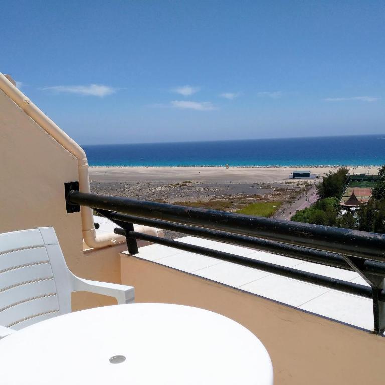 Apartments Palm Garden - Estudio Superior con vistas al océano - 21