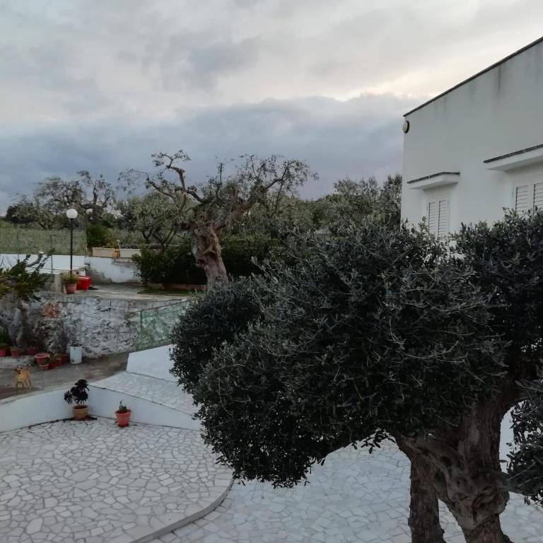 La casa di Nonno - Casa Vacanze - 16